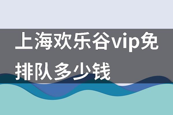 上海欢乐谷vip免排队多少钱